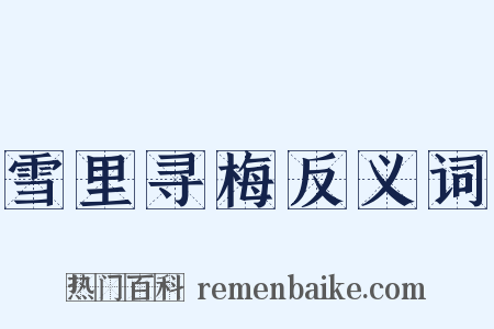 雪里寻梅反义词是什么意思的图片